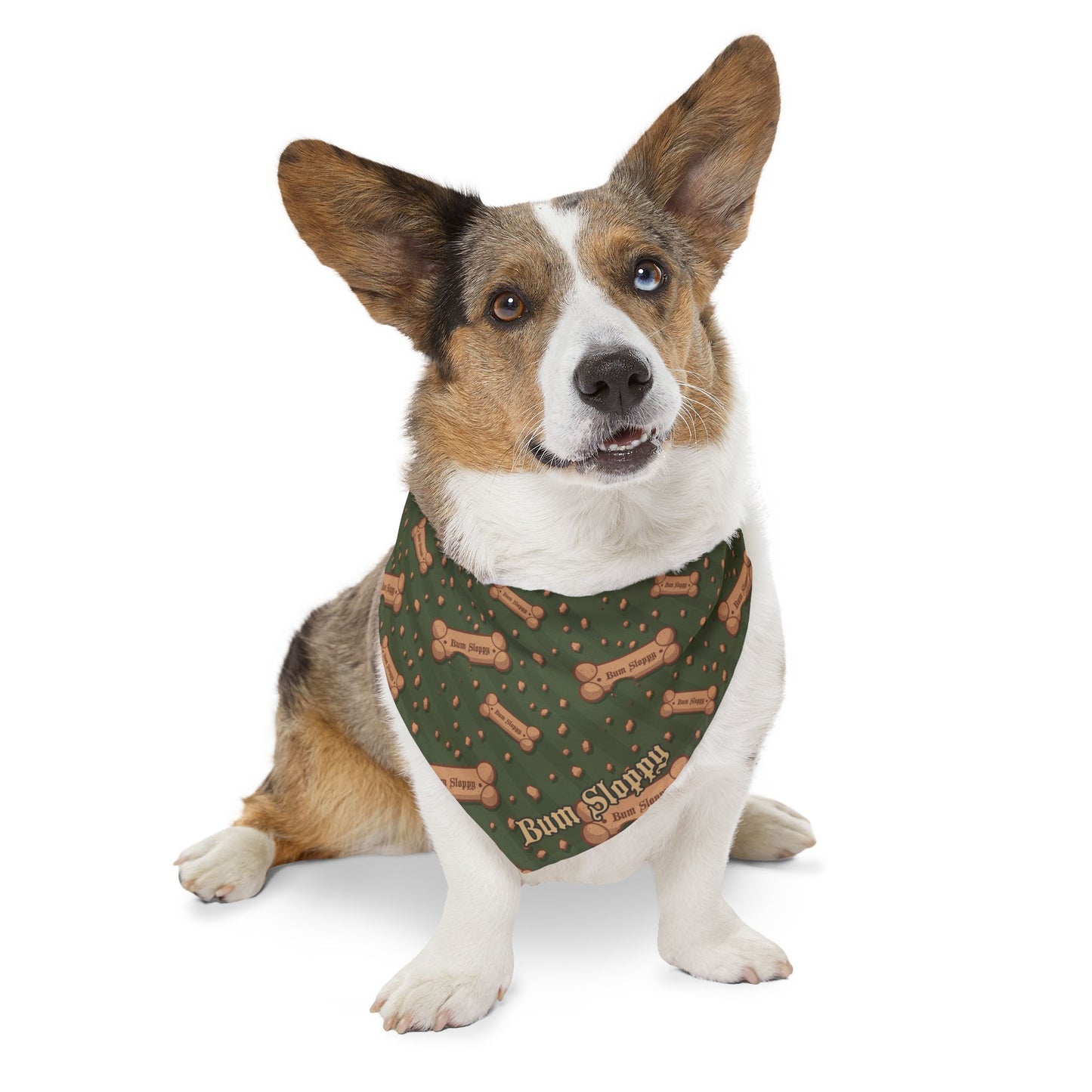 Good Dog, Have a Biscuit Pet Bandana Collar