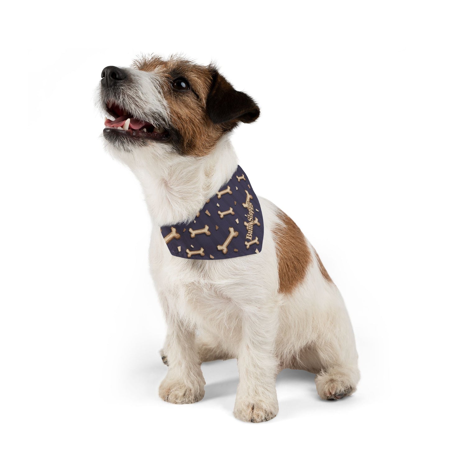 Give a Dog a Bone Pet Bandana Pet Bandana Collar