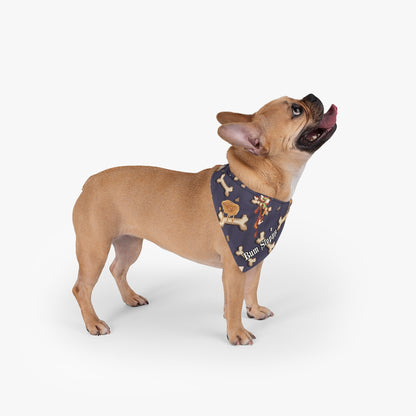 Give a Dog a Bone Pet Bandana